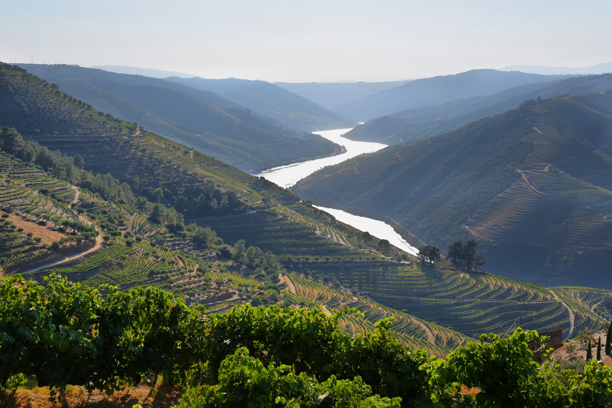 Amazing views of Douro vineyards and river from Valença do Douro, Portugal